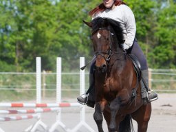 IMG_0501_web